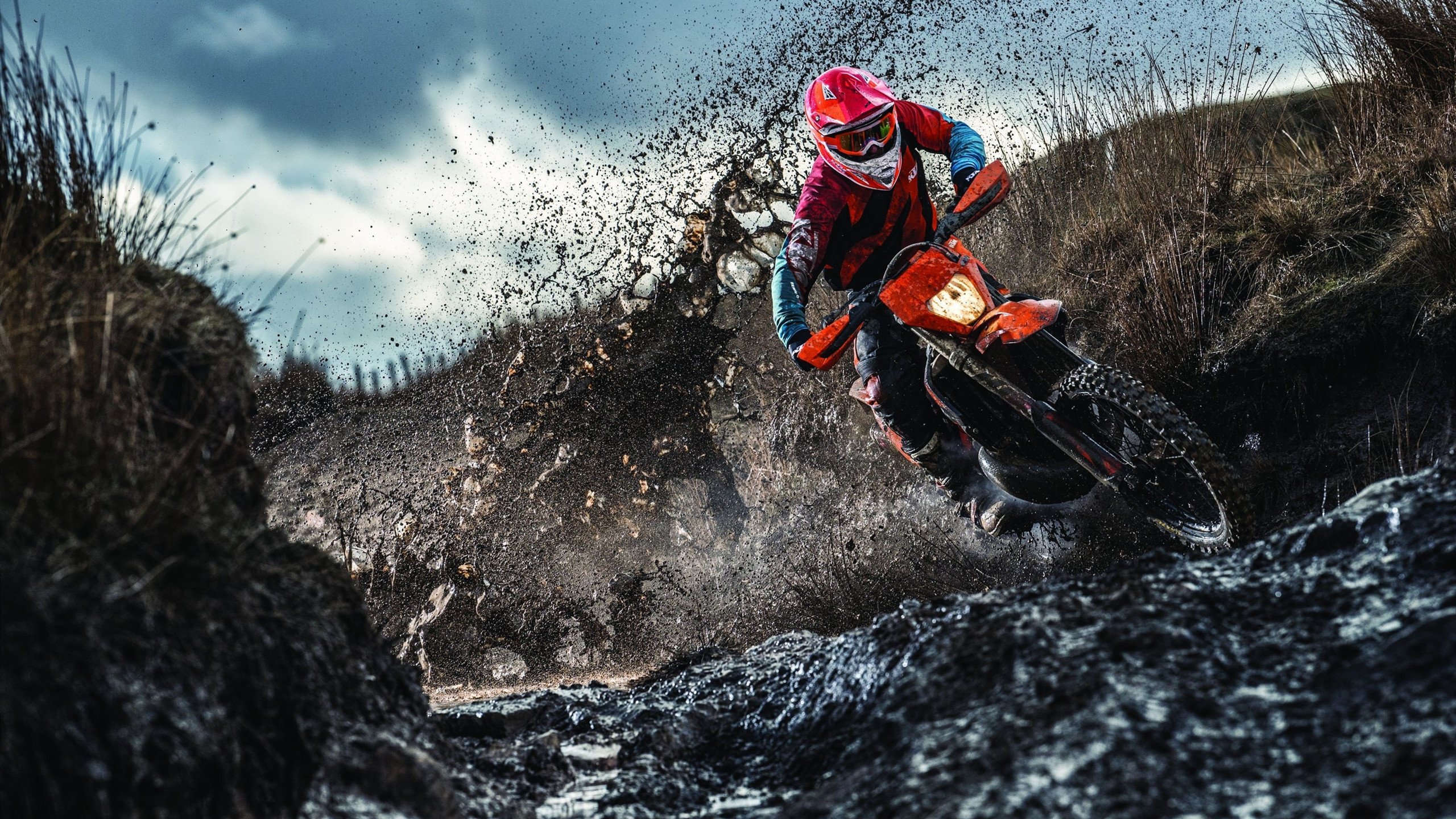 游泳赛事决赛竞争激烈